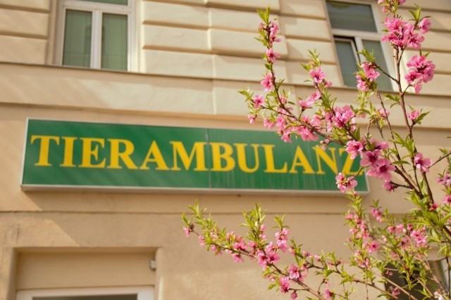 Tierambulanz LOGO